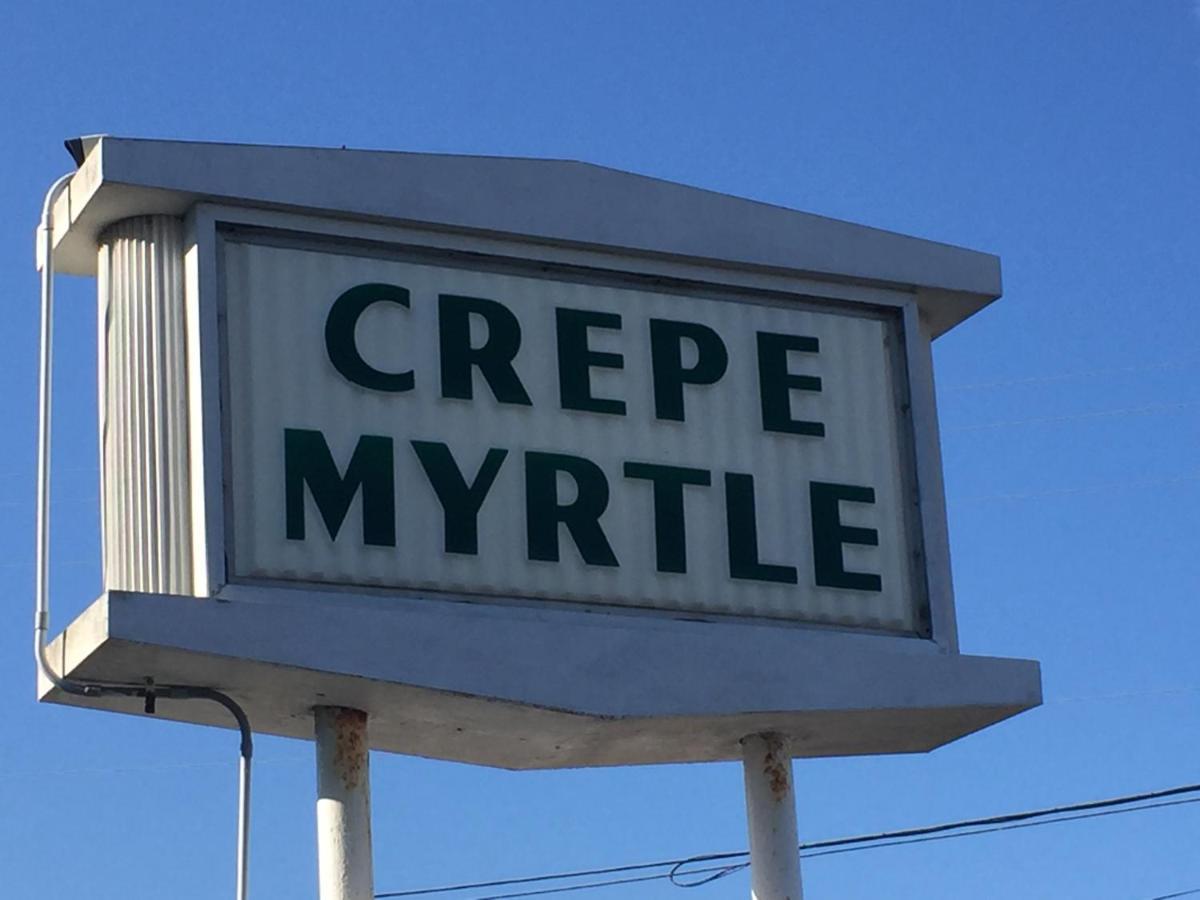Crepe Myrtle Inn Myrtle Beach Exterior photo